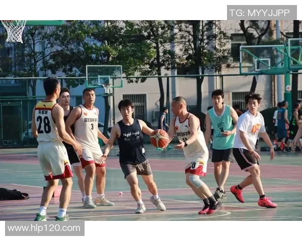 杭州篮球队团队协作能力大幅提升荣获全国篮球团队协作排名新高